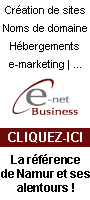 Création de sites Internet, noms de domaine, hébergement, référencements chez E-net Business... Référence à Namur
